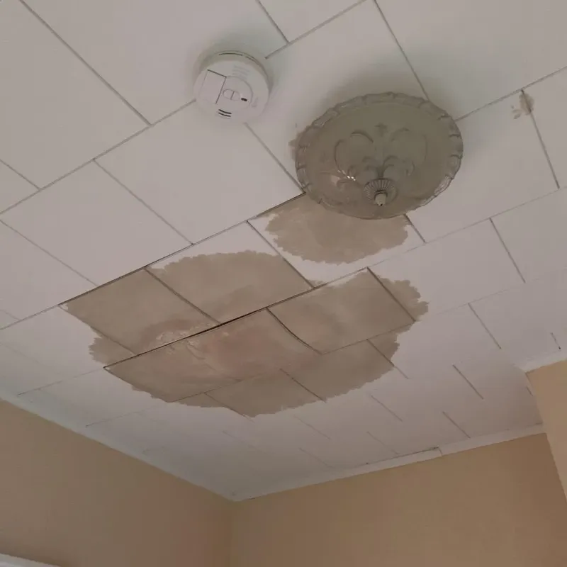 Ceiling Water Damage Repair in White Bear Lake, MN