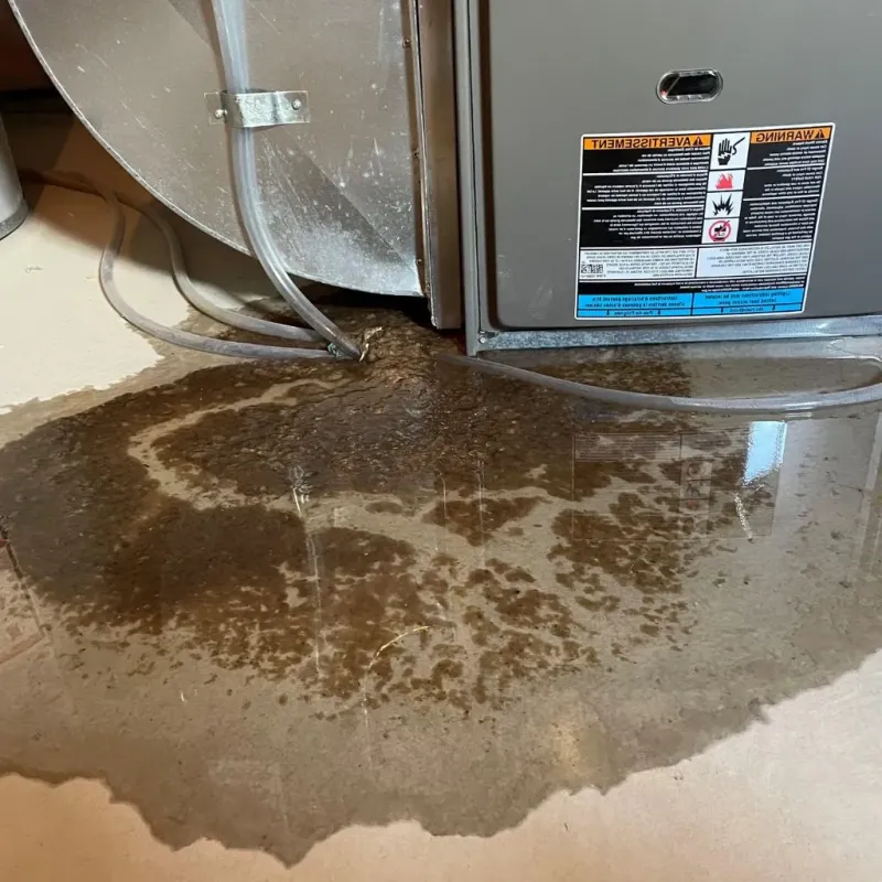 Pipe Burst and Leak Restoration in White Bear Lake, MN